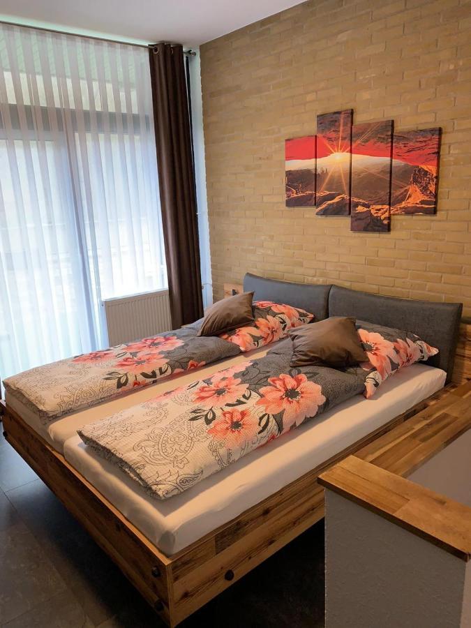 Mariposa 5 Incl Pool & Sauna Bad Harzburg Kültér fotó